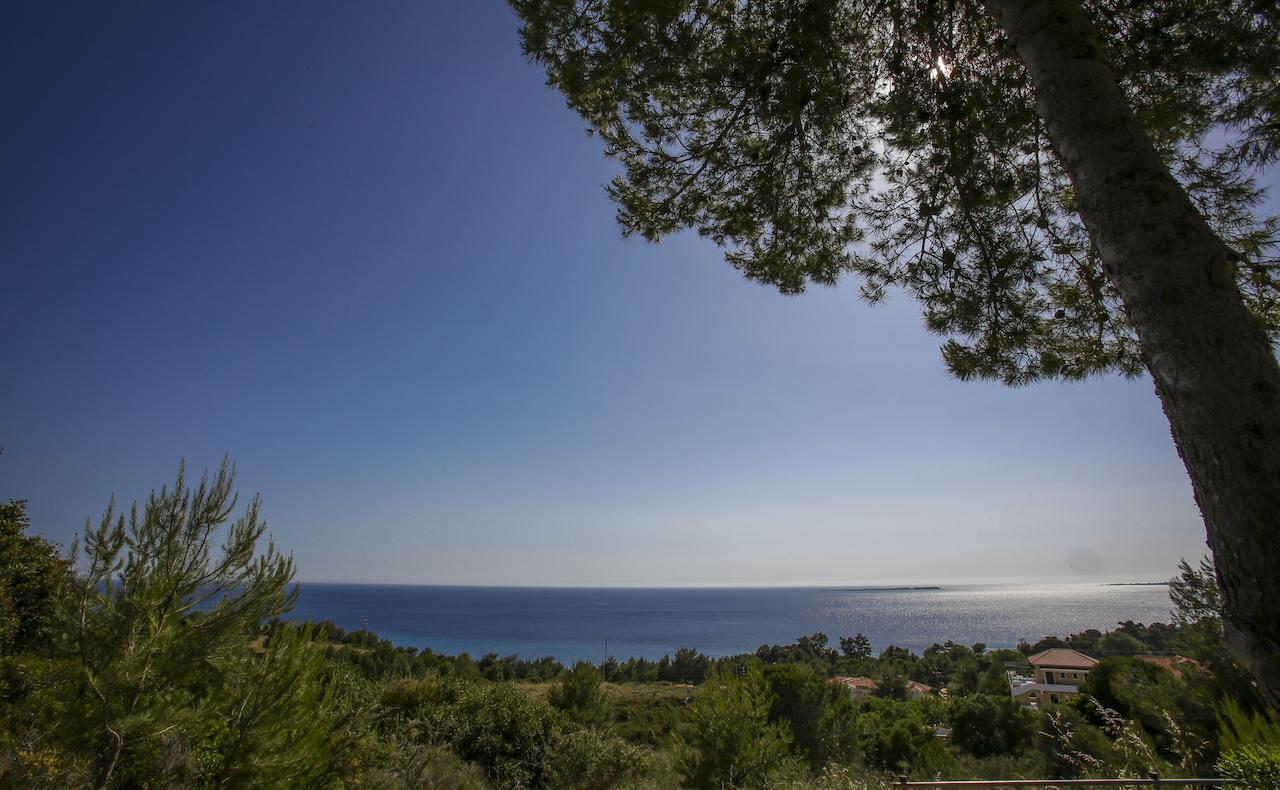 Sunset Paradise Lassi  Rom bilde
